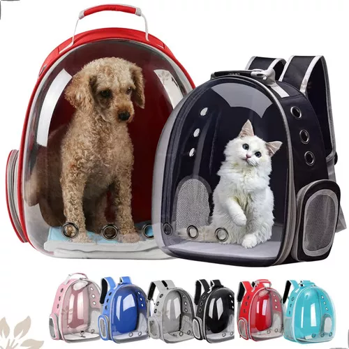 mochila colores 123.webp mochila colores 123.webp
